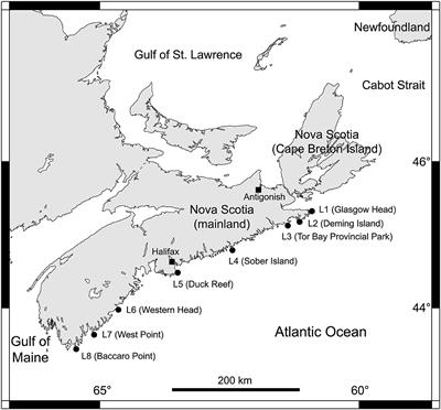 The Subhabitat Dependence of Biogeographic Pattern